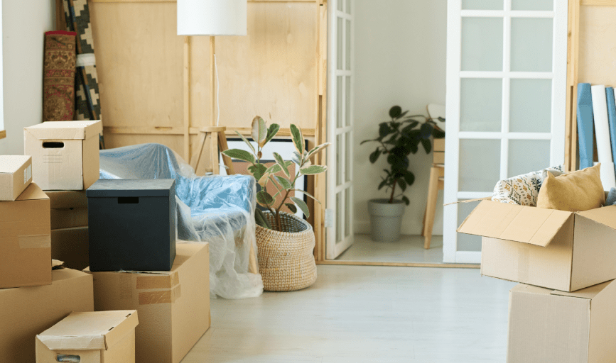 MOVING CLEANOUTS